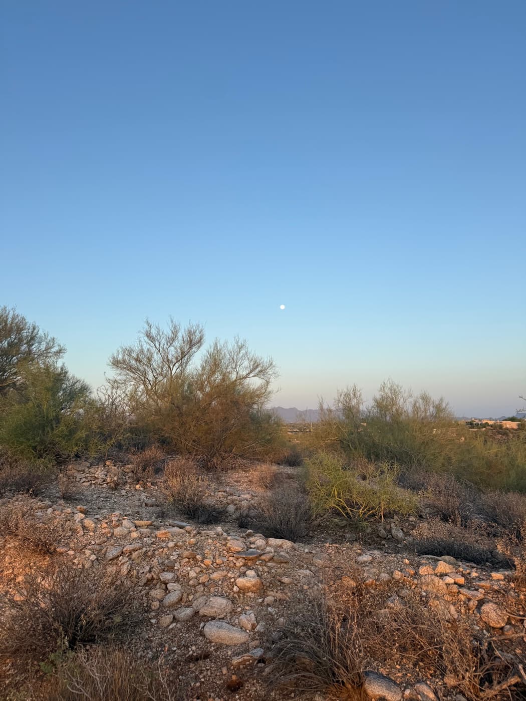 Desert at dusk with the moon rising